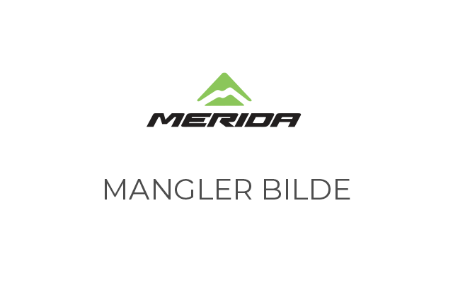 CST Slange 20x4.00" til E-Scooter med Bilventil